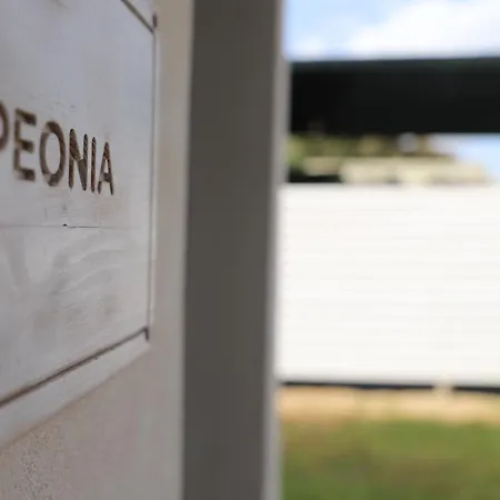 Rocca Dei Tramonti Camping