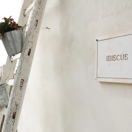 Rocca Dei Tramonti Camping Punta Braccetto